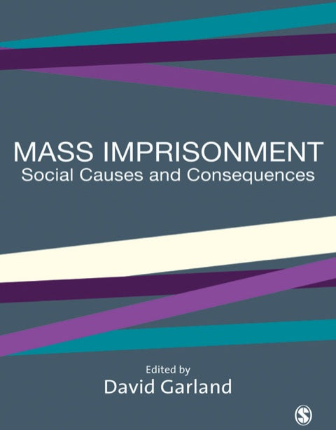Mass Imprisonment Social Causes and Consequences