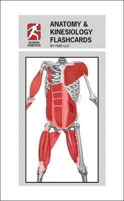 Anatomy and Kinesiology Flashcards