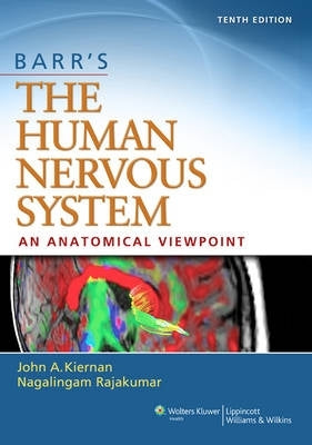 Barrs the Human Nervous System an Anatomical Viewpoint