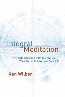 Integral Meditation Mindfulness As a Way to Grow Up Wake Up and Show Up in Your Life