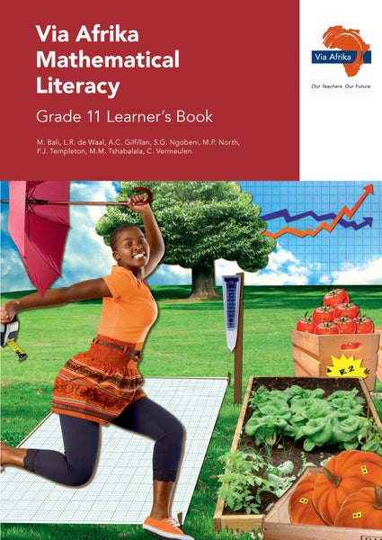 Via Afrika Mathematical Literacy Gr 11 (Learners Book)
