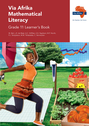 Via Afrika Mathematical Literacy Gr 11 (Learners Book)
