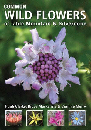 Common Wild Flowers of Table Mountain and Silvermine
