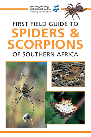 First Field Guide to Spiders and Scorpions of Southern Africa