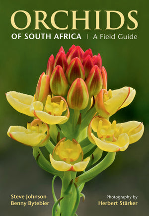 Orchids of SA