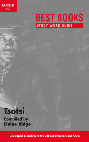 Study Work Guide Tsotsi Gr 11 (Home Language)