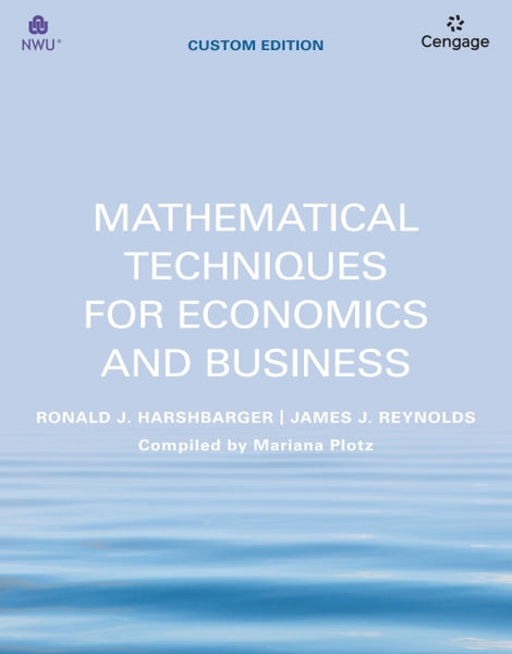 Mathematical Techniques for Economics and Business (Custom Ebook