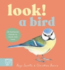 Look a Bird