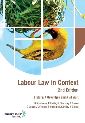 Labour Law in Context ( 9781779830470)