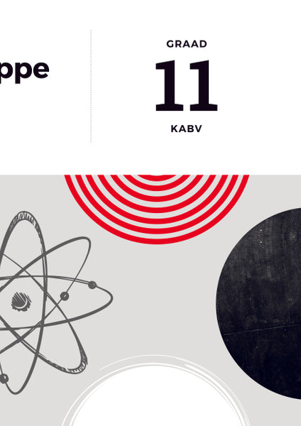 Answer Series Gr 11 Fisiese Wetenskappe 3 In1 Kabv (Studiegids)