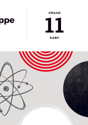 Answer Series Gr 11 Fisiese Wetenskappe 3 In1 Kabv (Studiegids)