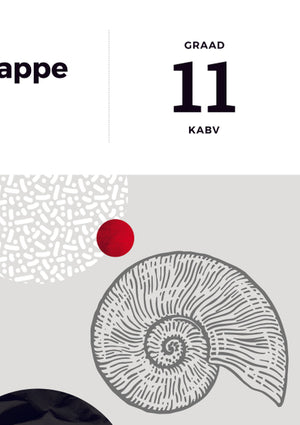 Answer Series Gr 11 Lewenswetenskappe 3 in 1 (Kabv) (Studiegids)