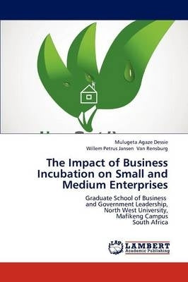 Impact of Business Incubation on Small and Medium Enterprises