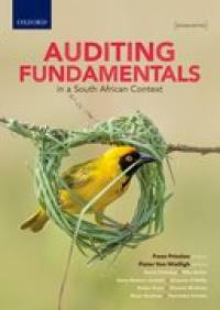 AUDITING FUNDAMENTALS IN A SA CONTEXT