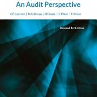 ASSURANCE AN AUDIT PERSPECTIVE