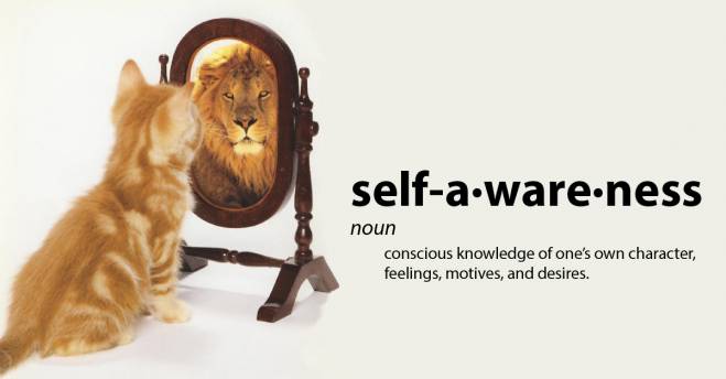 Kitten-in-mirror-self-awareness.jpg